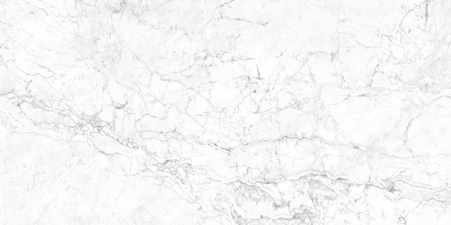 Carrara Matt Grey 60x120 | Newker