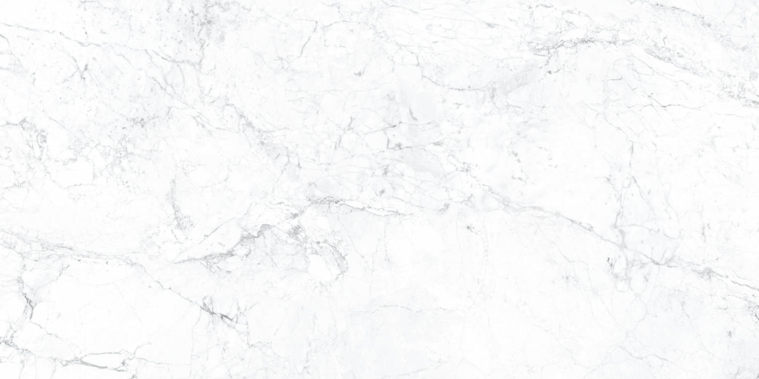 Carrara Nanotech Grey 60x120 | Newker