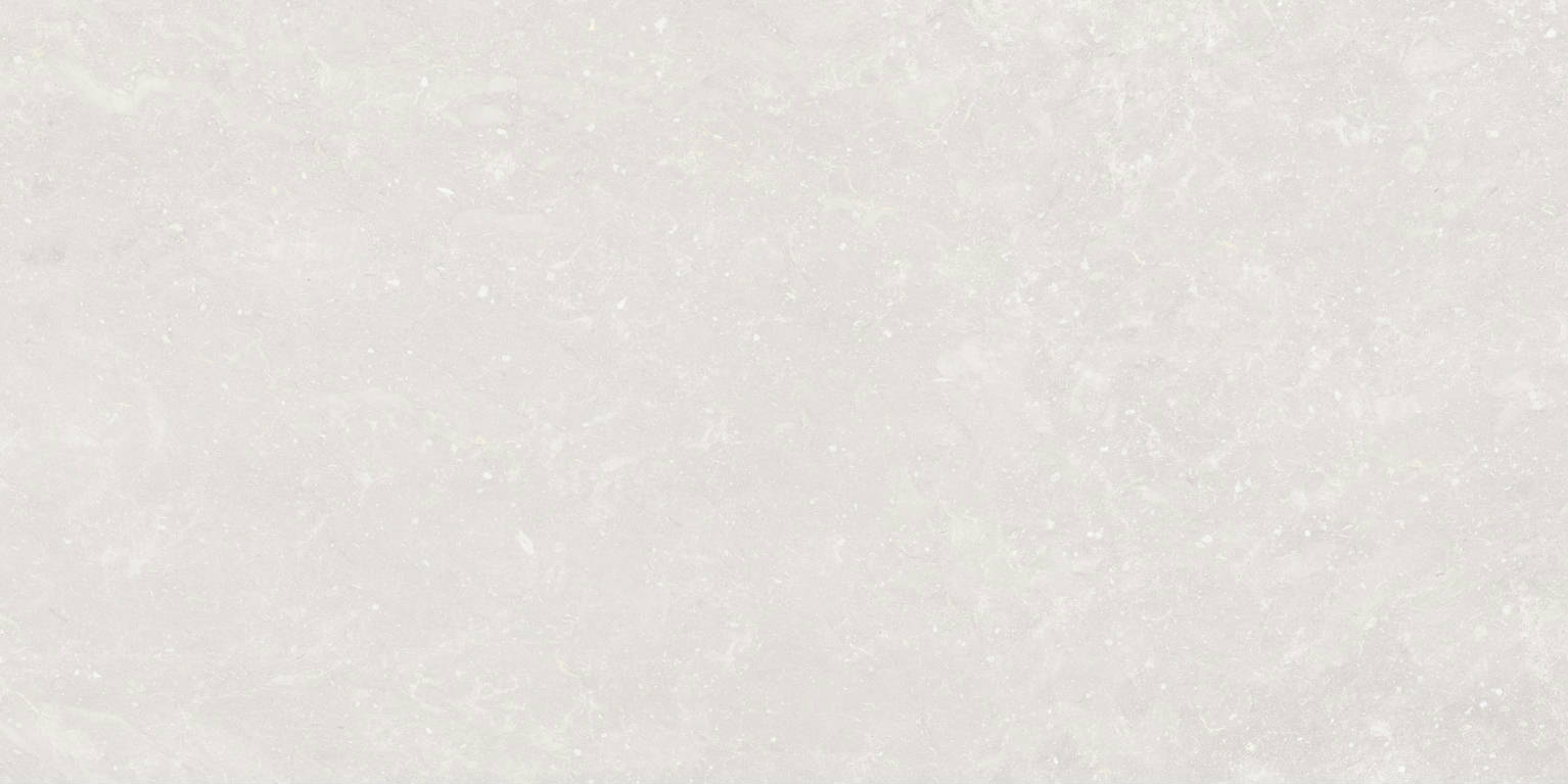 Space Nanotech White 60x120 | Newker