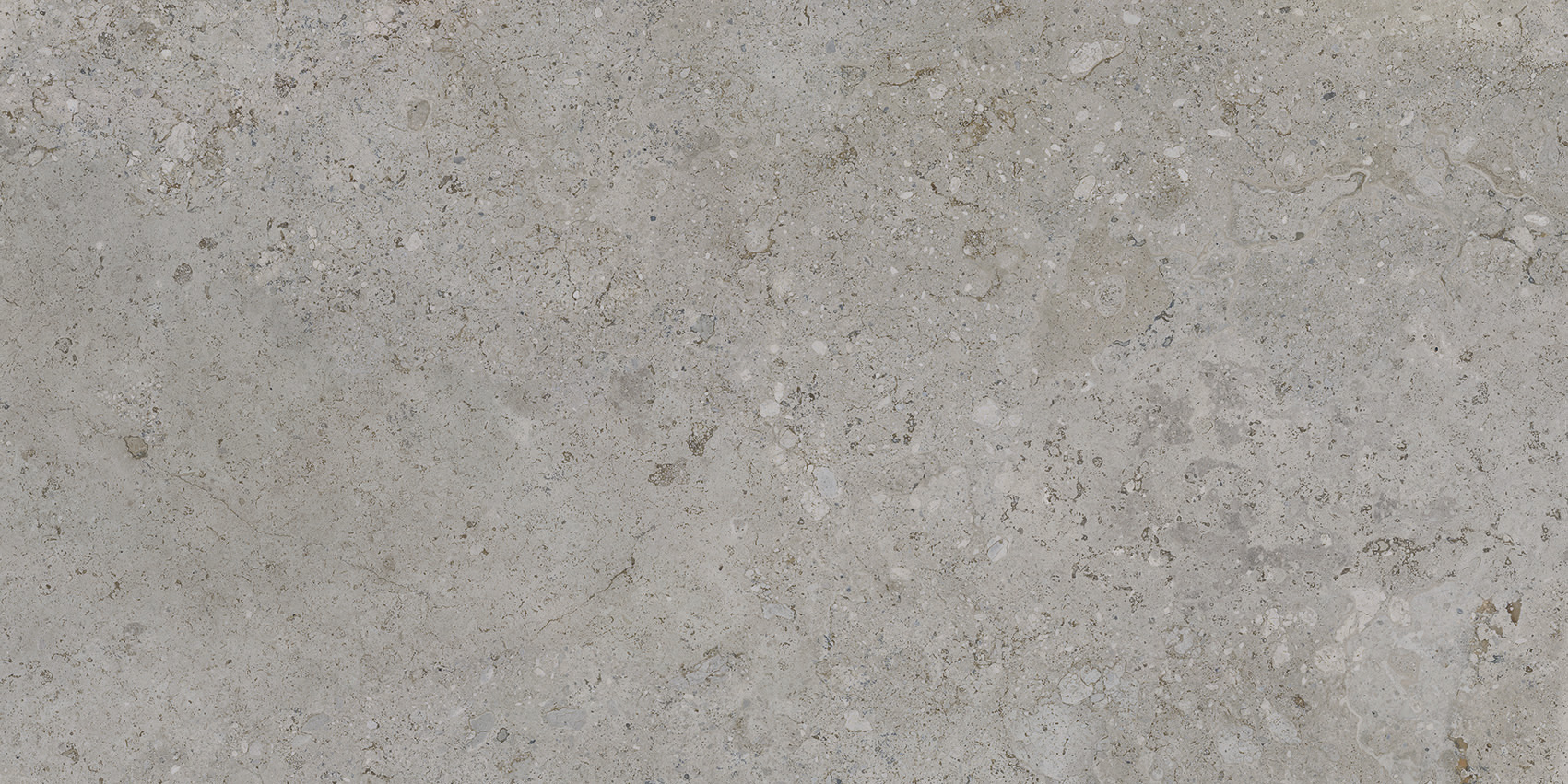 Camper Grey 60x120 | Newker