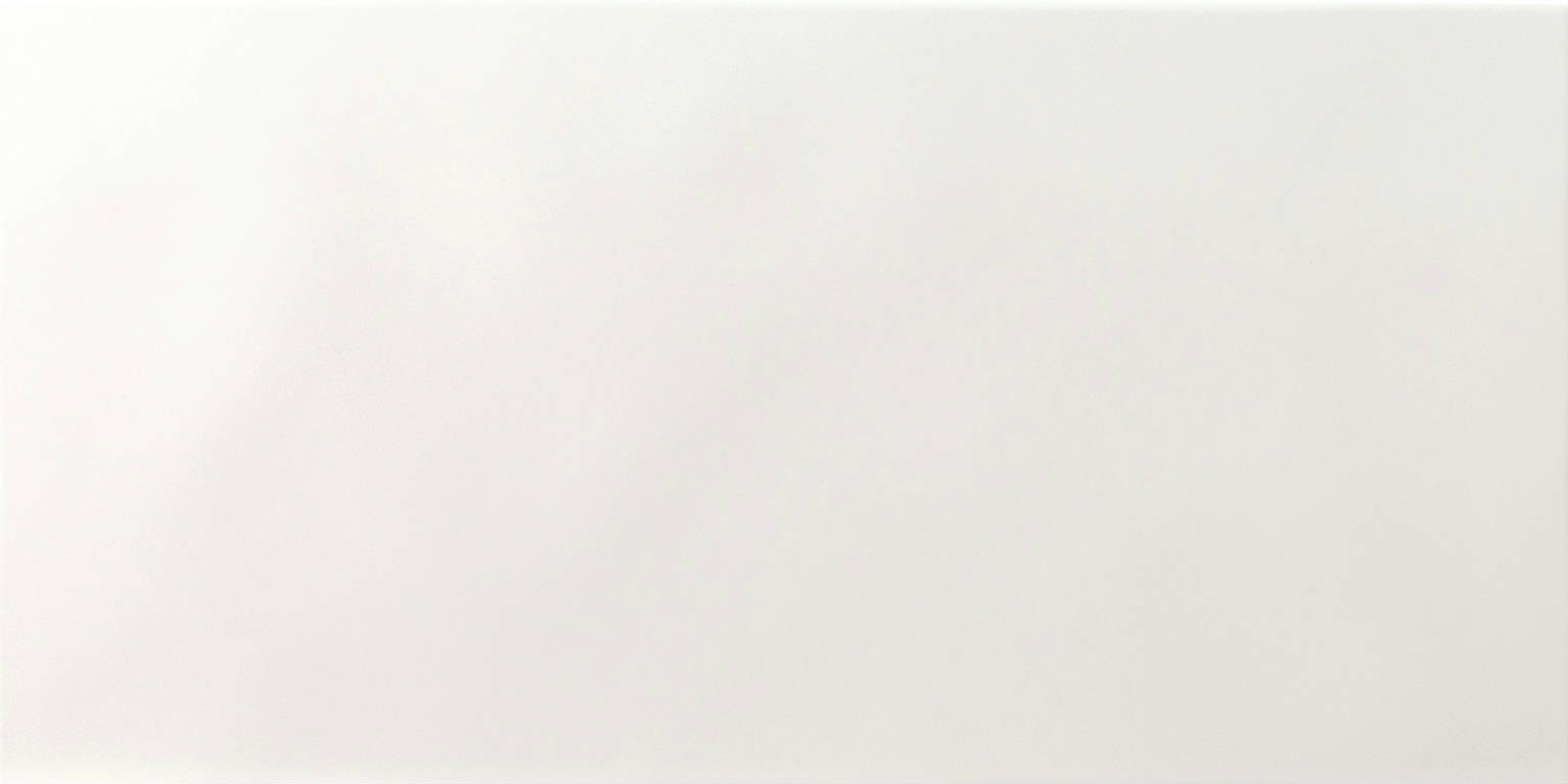 Move Gloss White 25x50 | Newker