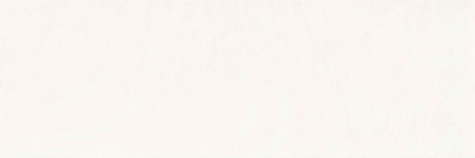 Tempo White 25x75 | Newker